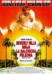 Beverly Hills Ninja Poster