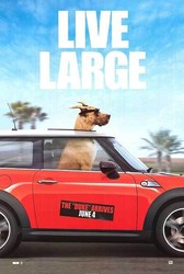 Marmaduke Poster