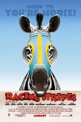 Racing Stripes Poster