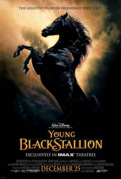 'Young Black Stallion' Poster